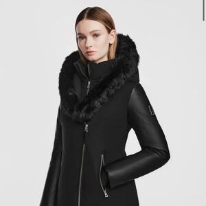 Coat